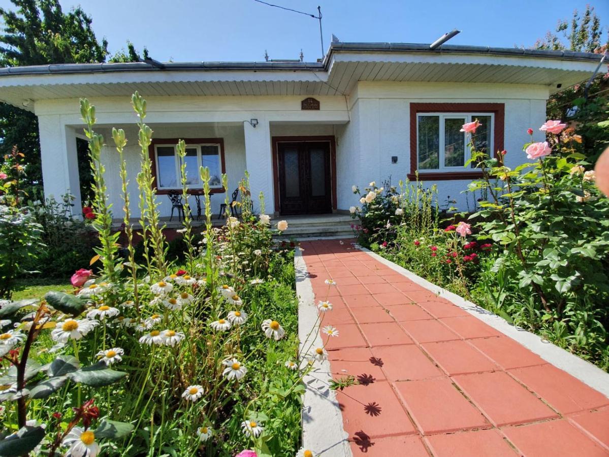 Willa Casa Jeni Humulesti Zewnętrze zdjęcie