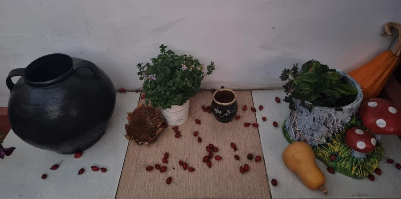Willa Casa Jeni Humulesti Zewnętrze zdjęcie